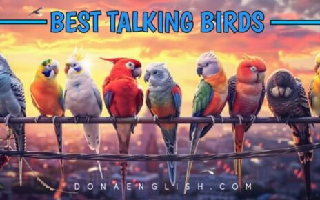 Best Chattering birds : 8 Best Talking Birds to Keep as Pets